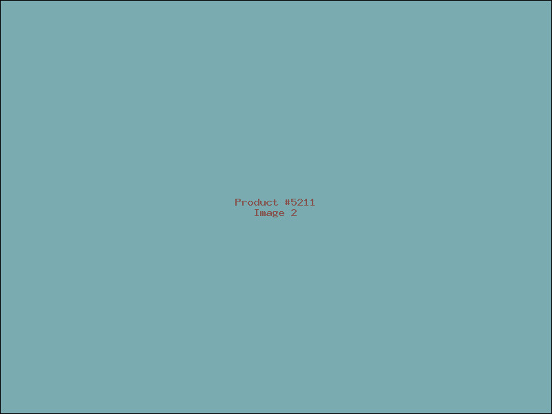Example Product 5211 - Image 2