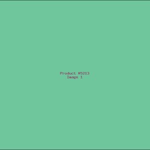 Example Product 5213