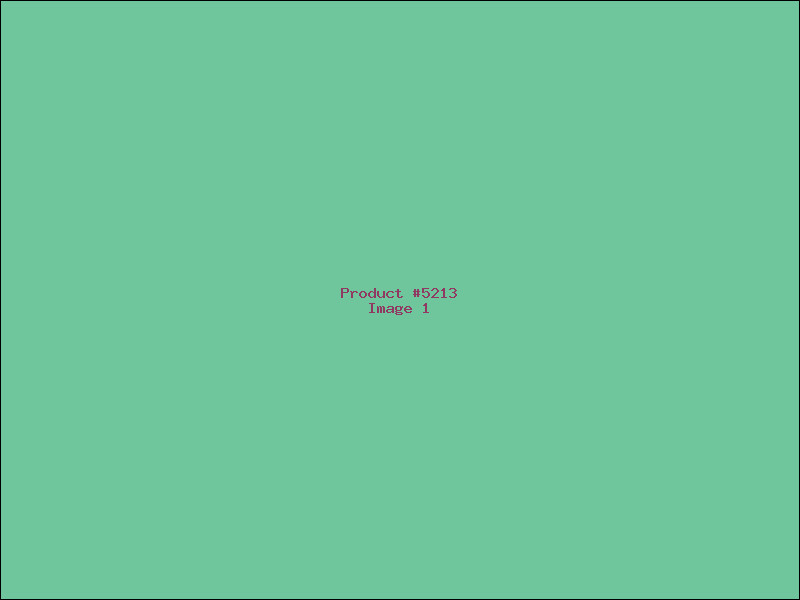 Example Product 5213