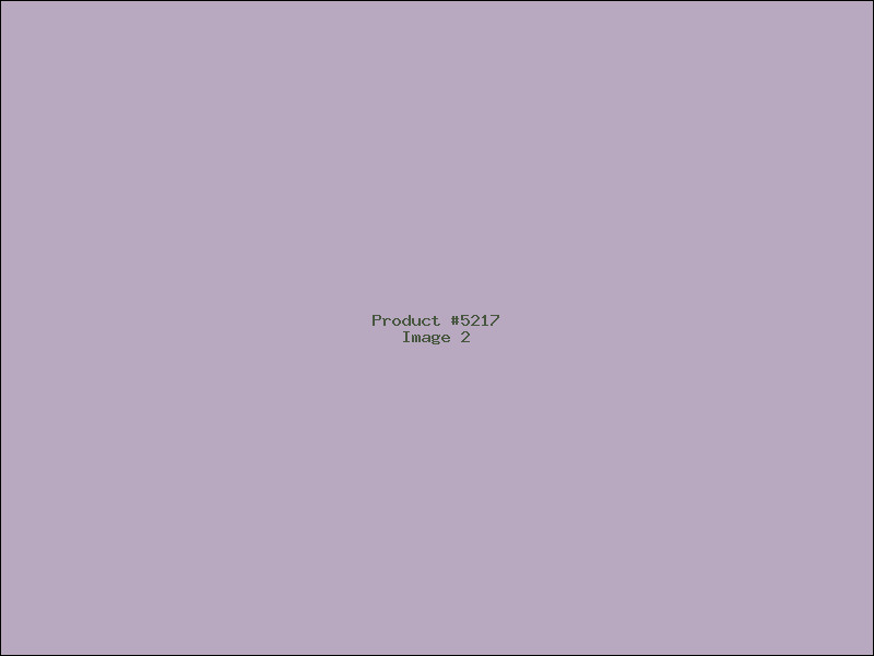 Example Product 5217 - Image 2