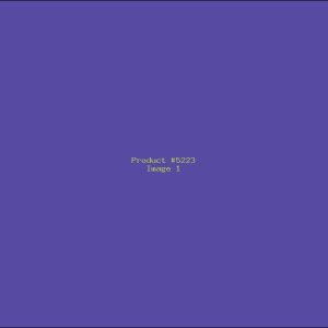 Example Product 5223