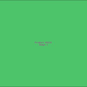 Example Product 5231