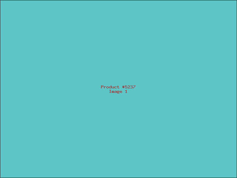 Example Product 5237