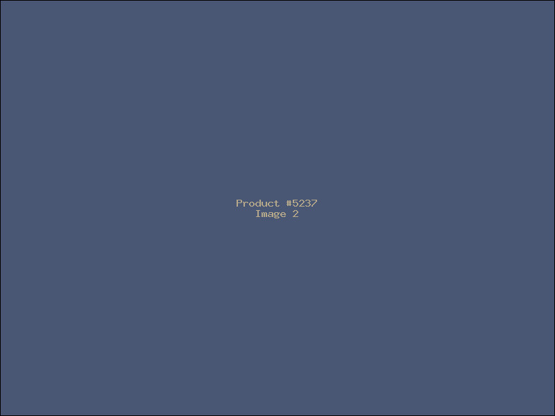 Example Product 5237 - Image 2