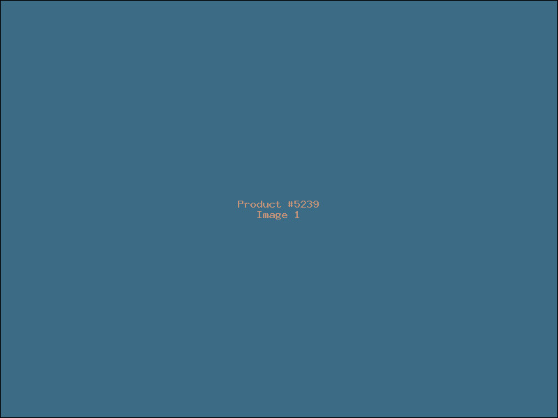 Example Product 5239