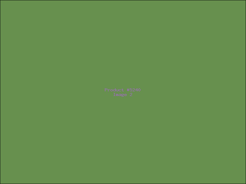 Example Product 5240 - Image 2