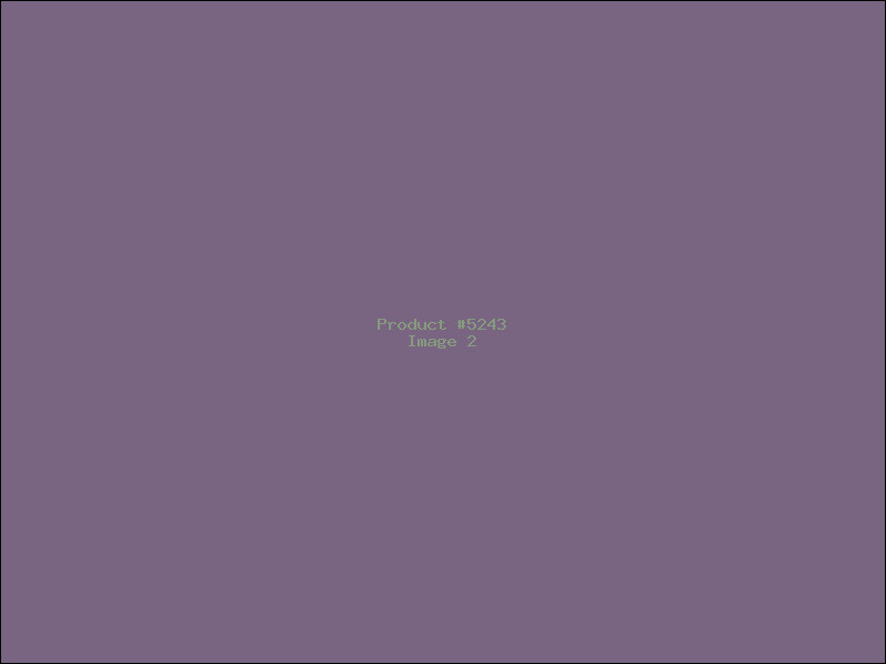 Example Product 5243 - Image 2