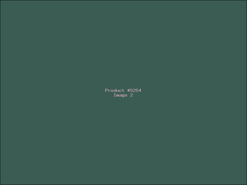 Example Product 5254 - Image 2