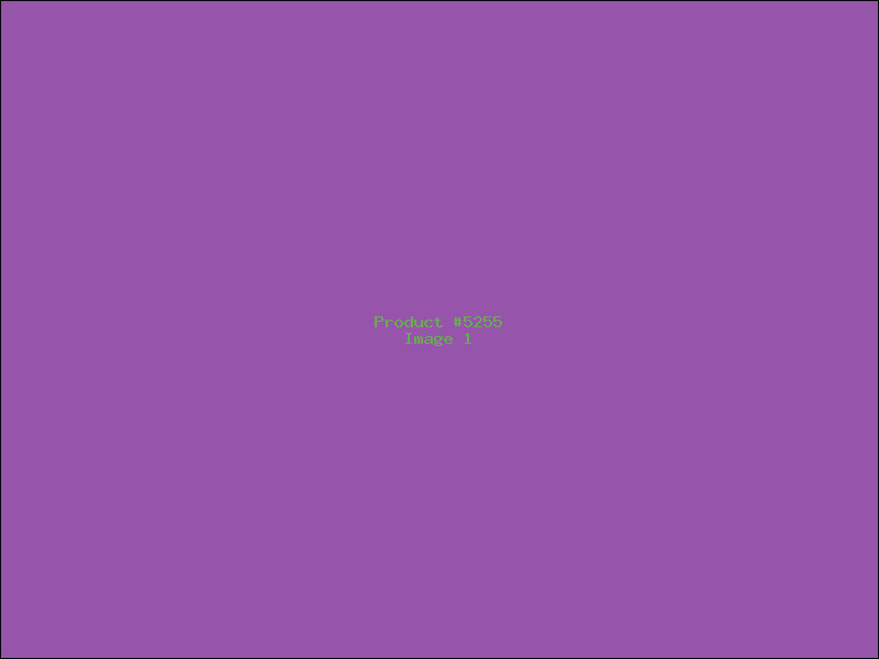 Example Product 5255