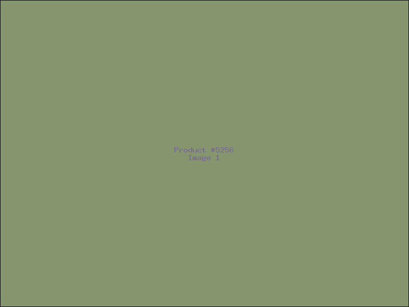 Example Product 5256