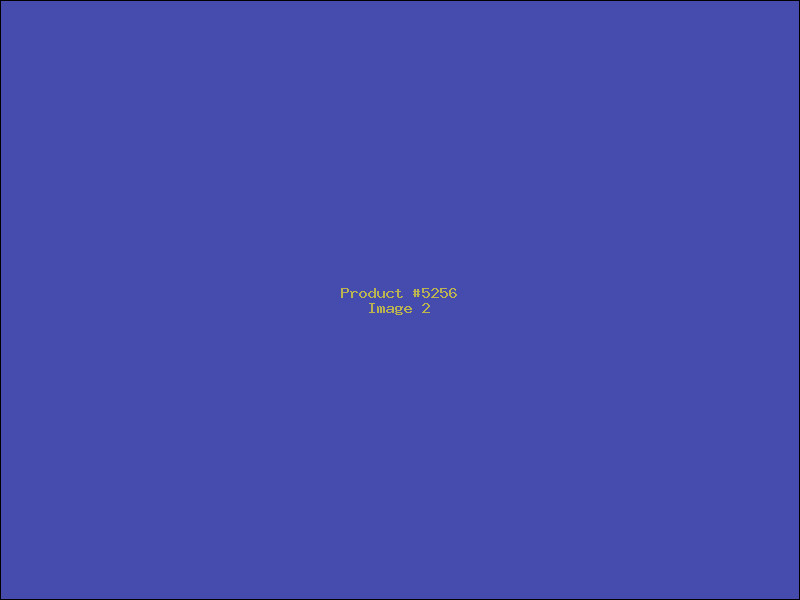 Example Product 5256 - Image 2