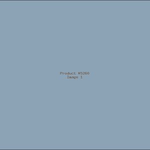 Example Product 5260