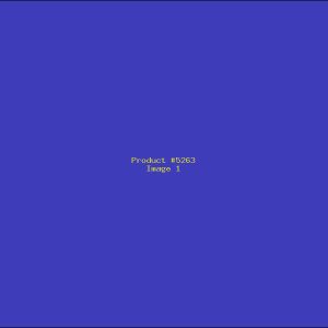 Example Product 5263