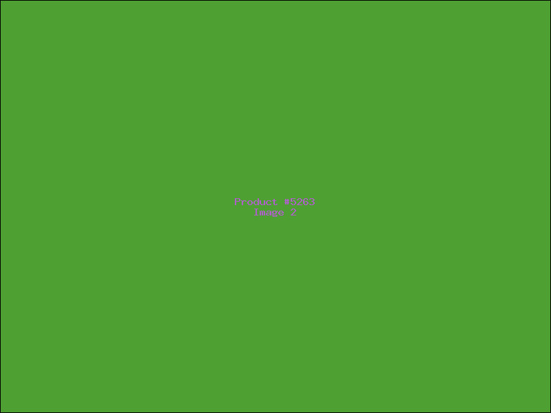 Example Product 5263 - Image 2