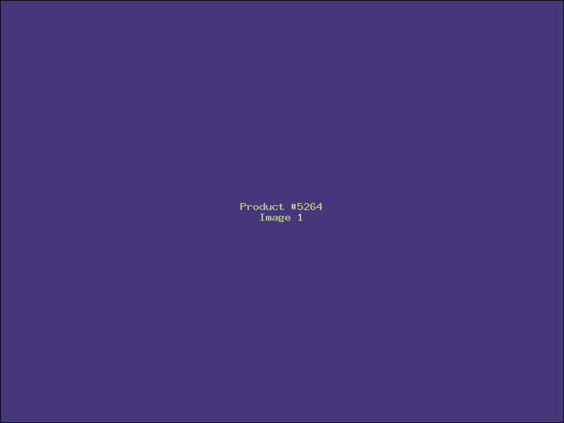 Example Product 5264