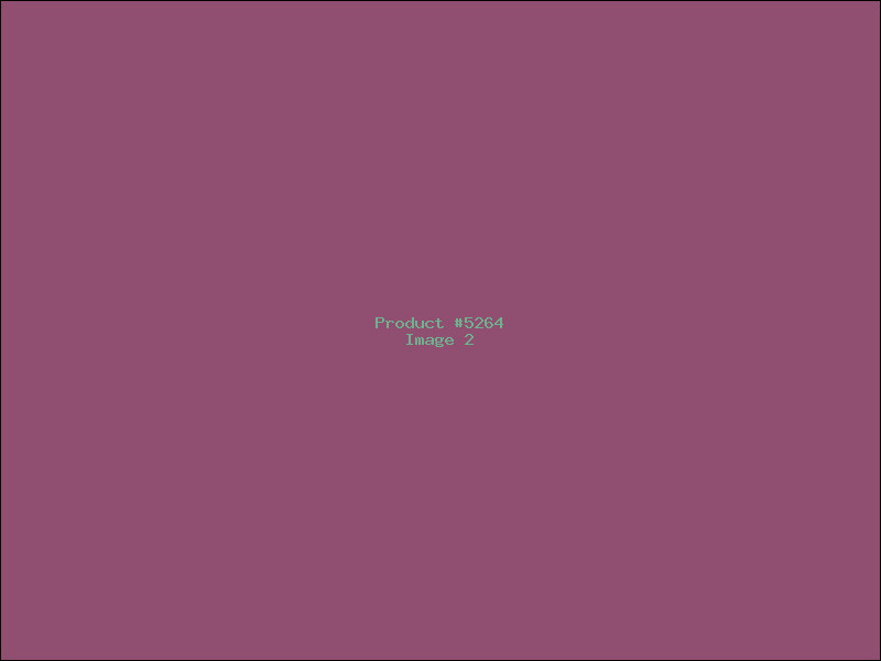 Example Product 5264 - Image 2