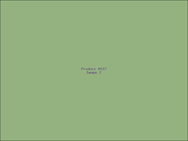 Example Product 527 - Image 2