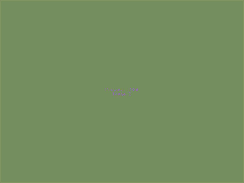 Example Product 528 - Image 2
