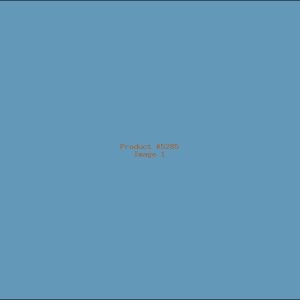 Example Product 5285