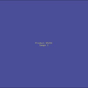 Example Product 5291