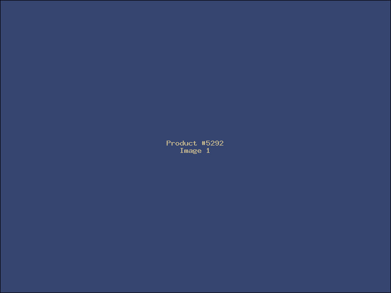 Example Product 5292
