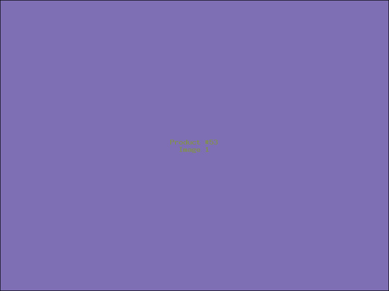 Example Product 53