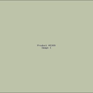 Example Product 5309