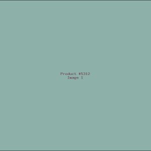 Example Product 5312