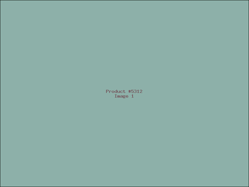 Example Product 5312