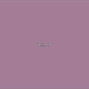 Example Product 5314