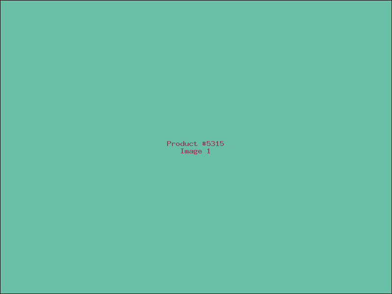 Example Product 5315