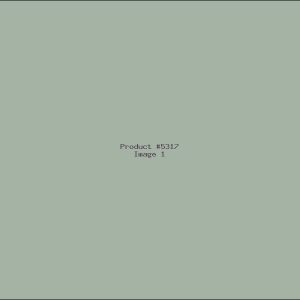 Example Product 5317