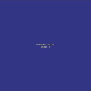 Example Product 5319