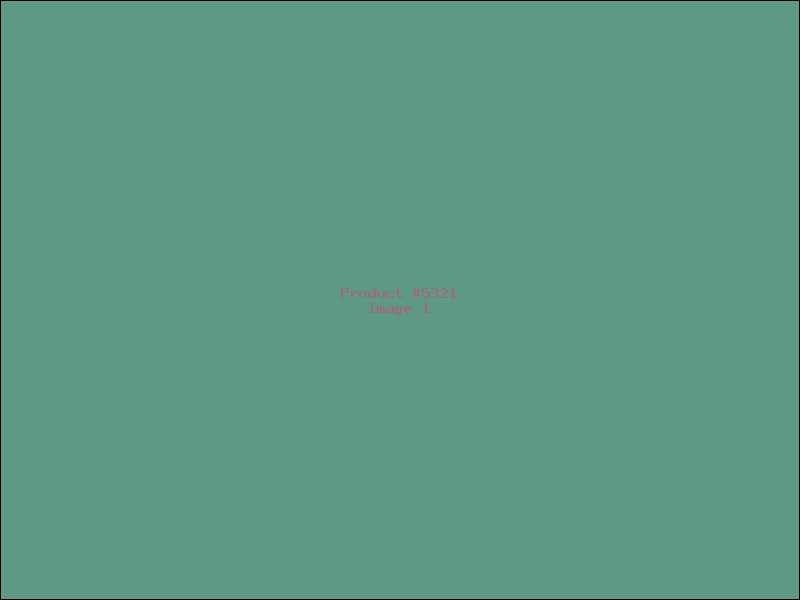 Example Product 5321