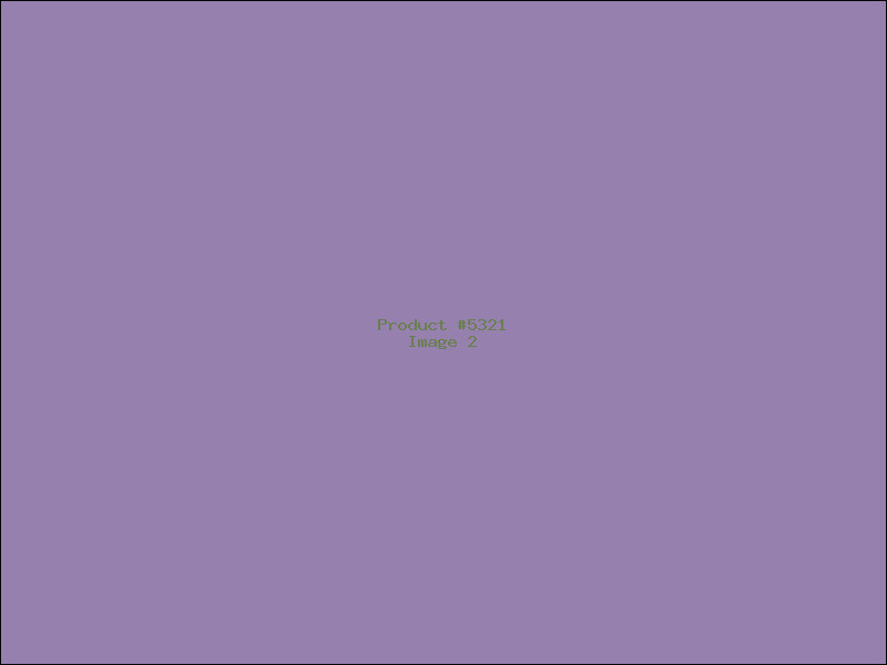 Example Product 5321 - Image 2