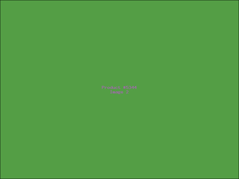 Example Product 5344 - Image 2