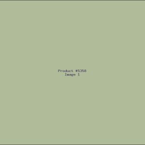 Example Product 5358