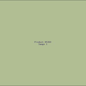 Example Product 5360