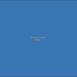 Example Product 5363