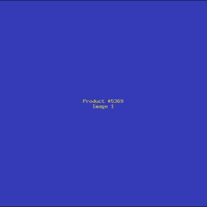 Example Product 5369