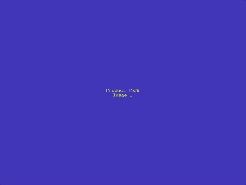 Example Product 538