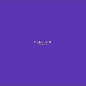 Example Product 5381