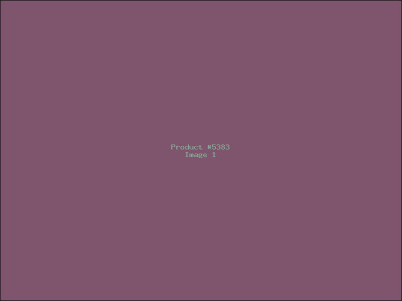 Example Product 5383