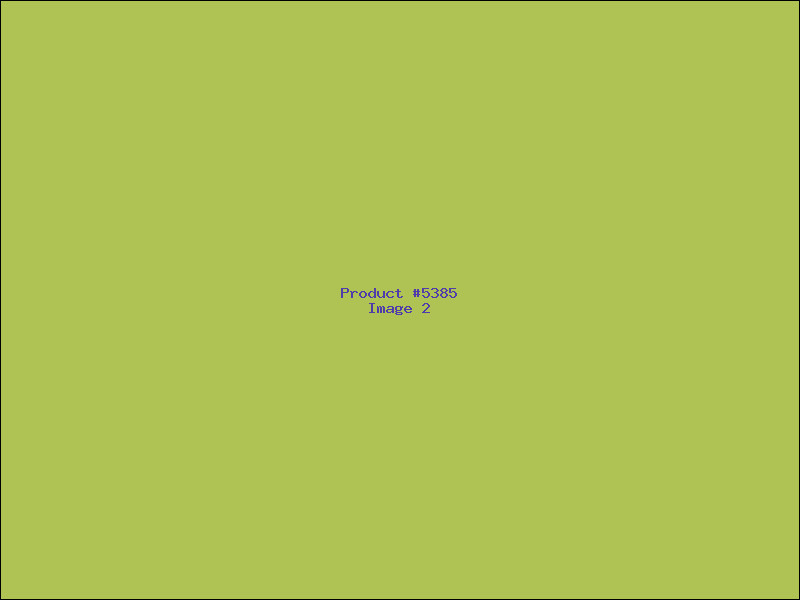 Example Product 5385 - Image 2