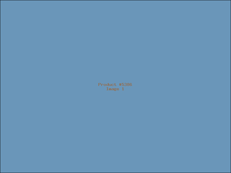 Example Product 5386