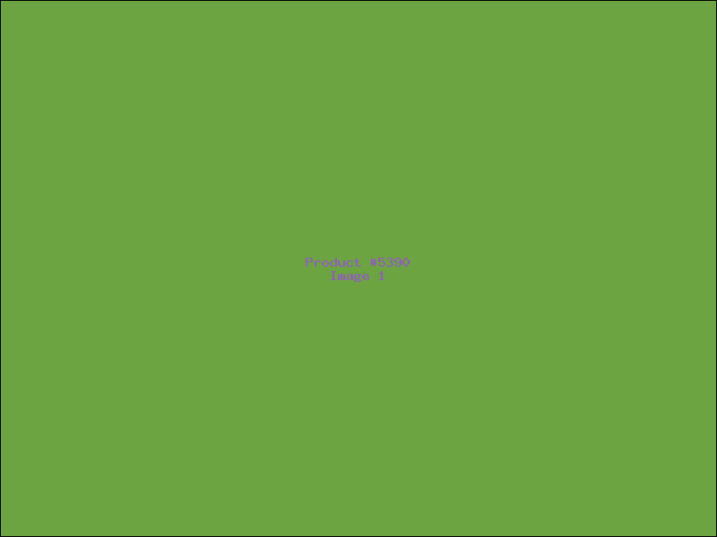 Example Product 5390