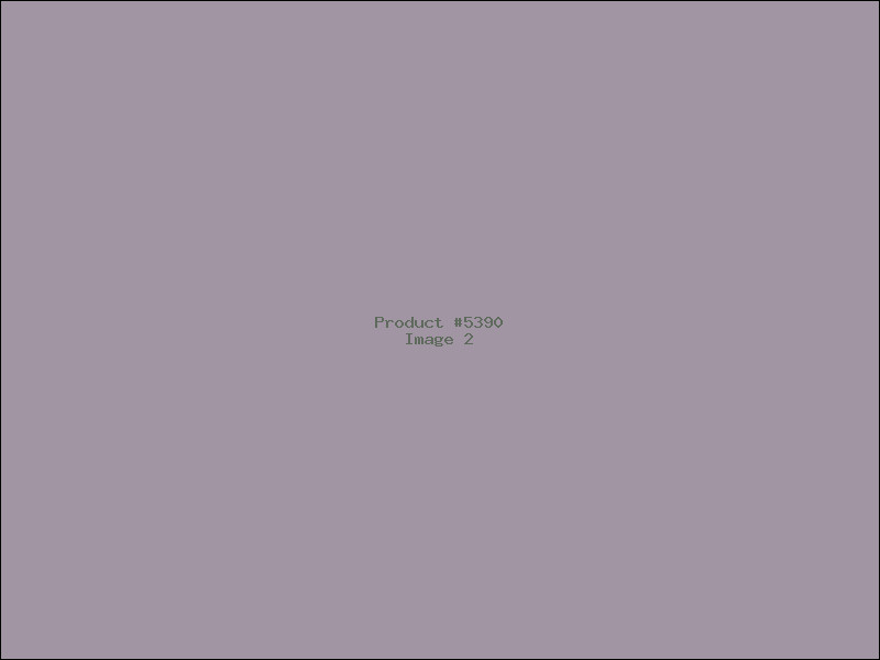 Example Product 5390 - Image 2
