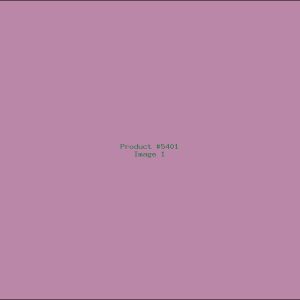 Example Product 5401
