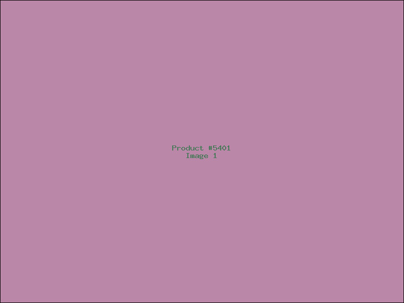 Example Product 5401