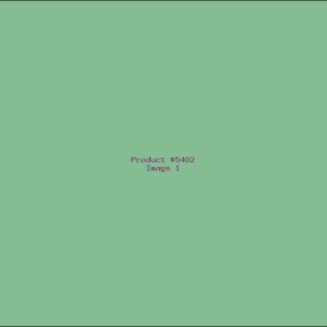Example Product 5402